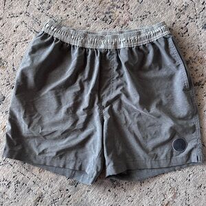 Chubbies Hybrid Board Shorts